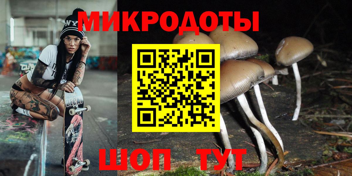 Галлюциногенные грибы мухоморы  Галлюциногенные грибы мухоморы  Каменка  Вход с VPN 